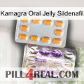 Kamagra Oral Jelly Sildenafil new12